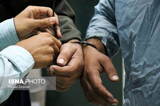 شناسایی و دستگیری ۱۹ عامل حریق در جنگل‌ها و مراتع فارس و خوزستان