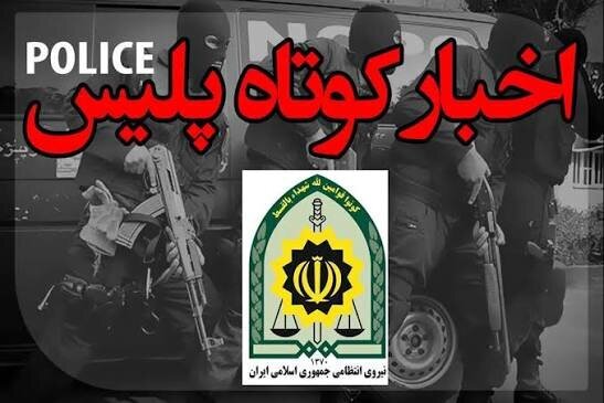 قتل برادر با اسلحه/ سارقان درون خودروهای شیراز به دام افتادند
