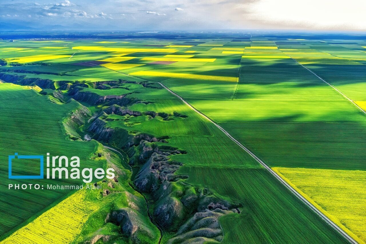 ۲.۲ همت برای پروژه‌های کشاورزی گیلان سرمایه‌گذاری شد