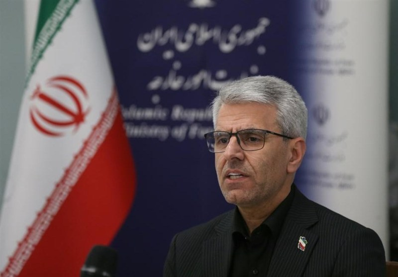 واکنش بقایی به حمایت اتحادیه اروپا از جنگ اقتصادی آمریکا علیه ایران