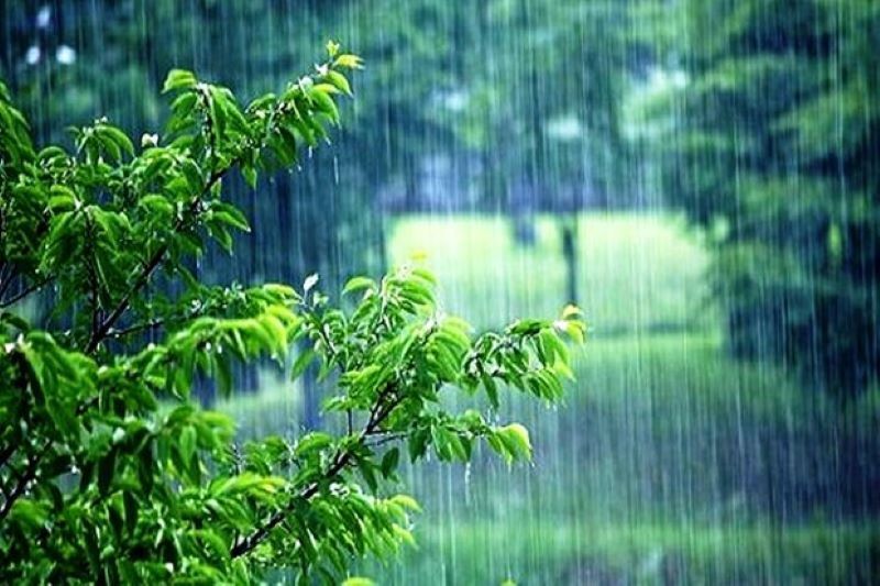تدوام بارندگی در گیلان تا پنجشنبه/ افزایش ۳ تا ۵ درجه‌ای دما تا شنبه