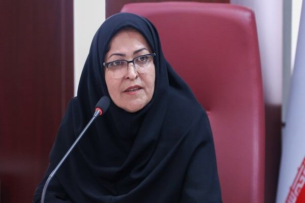 انصاری: صادرات را برای تولیدکنندگان قانونمدار تسهیل می‌کنیم