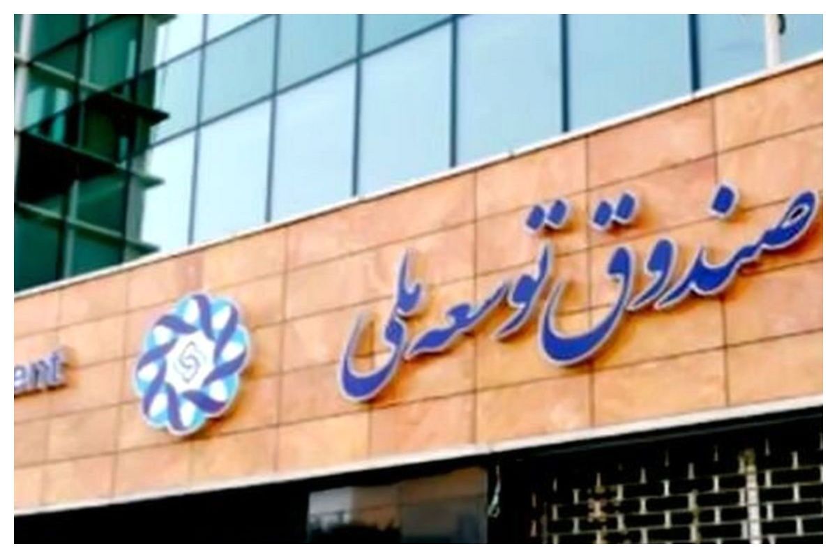 «مانا» ابزار صندوق توسعه ملی برای مدیریت ریسک تورمی دارایی‌ها