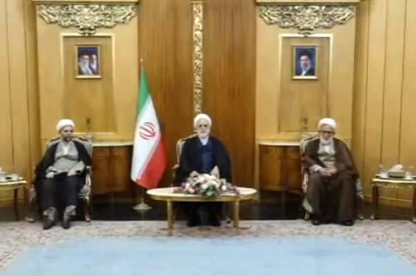 محسنی اژه‌ای عازم هند شد/ موضوع اصلی اجلاس بریکس مسایل مرتبط با تجارت جهانی است