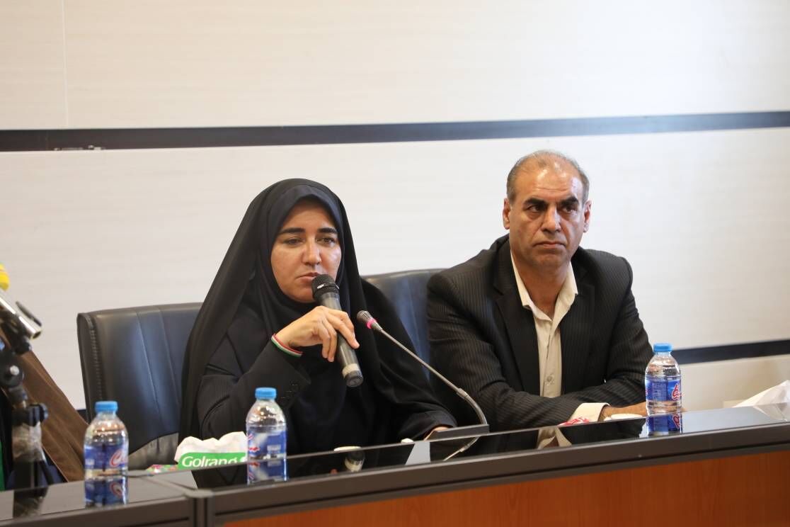 نماینده مجلس: دولت بسته توسعه صنعتی ایلام را با اولویت اجرا تدوین کند