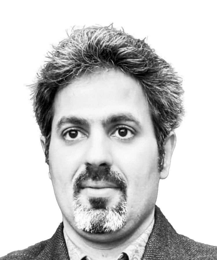 سازگاری نهادی با بحران دایمی