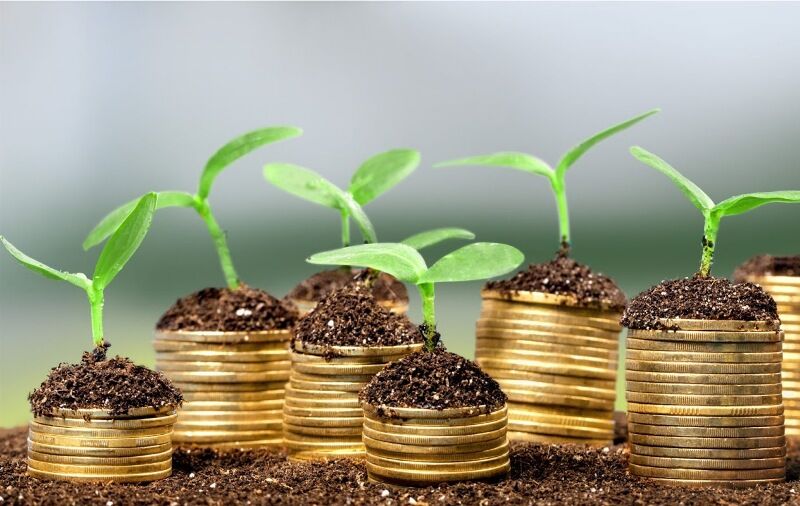 اقتصاد سبز و دانش‌بنیان، مسیر آینده توسعه مازندران