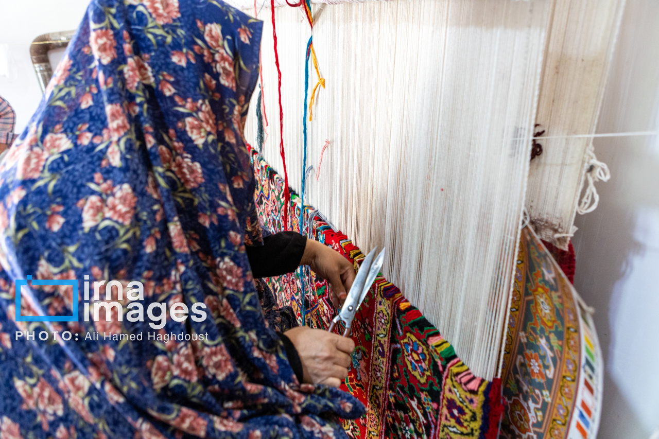 نرخ مشارکت اقتصادی زنان فقط ۱۳.۴ درصد است/ لزوم اشتغال پایدار و درآمدزا برای بانوان