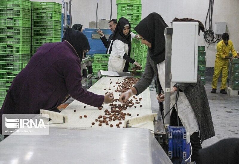 بخش تعاون؛ قانونِ مقتدر، واقعیتِ بی‌رمق