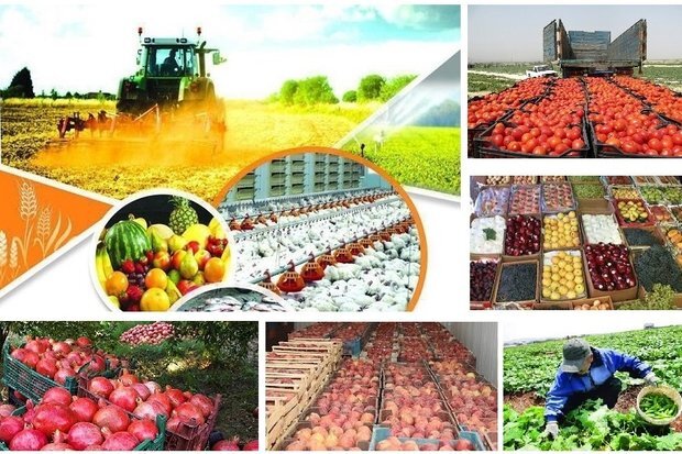 لرستان، سرزمین ظرفیت‌های کشاورزی؛ از انار و گردو تا حبوبات و آبزیان