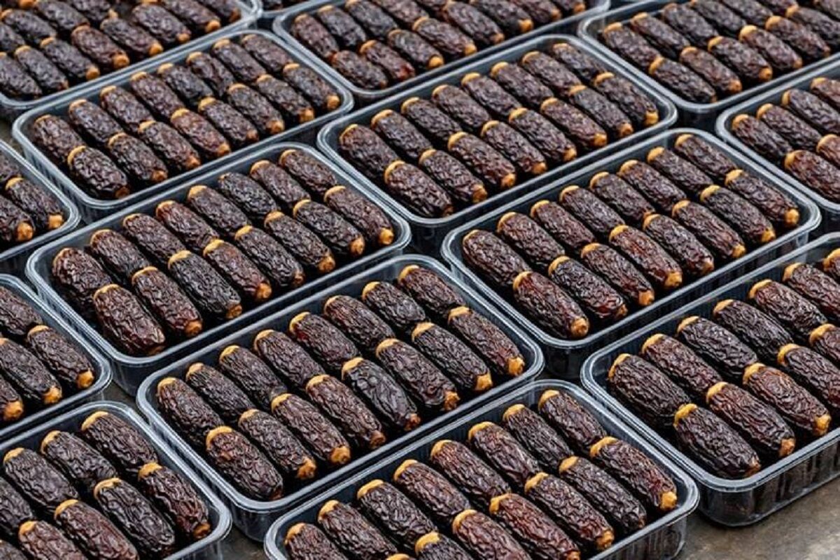 حاجی‌آباد؛ مهد تولید «نگین خرمای ایران» با پیش‌بینی برداشت ۳۸ هزار تن پیارم
