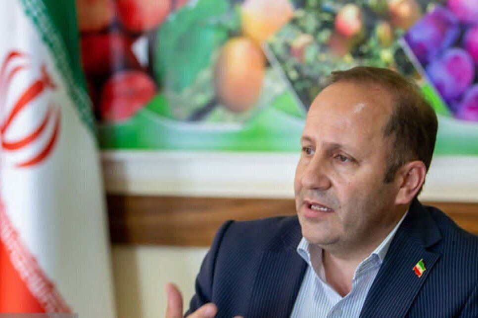 صادرات ۱۴.۵هزار تن محصول کشاورزی مراغه؛ پیش‌بینی برداشت ۳۵۰هزار تن سیب