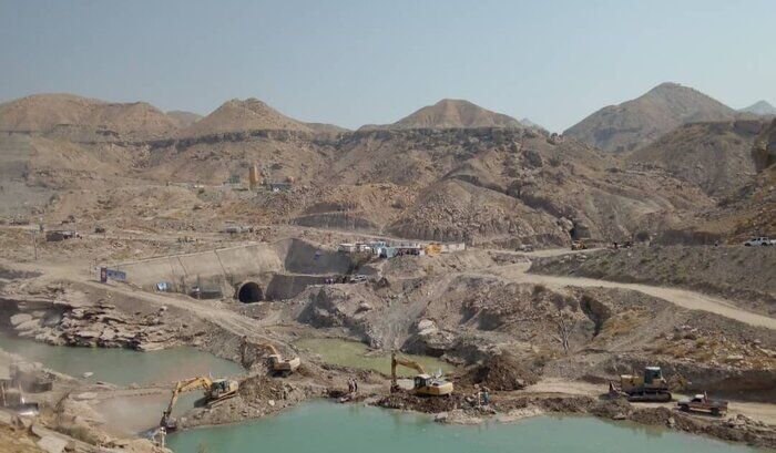 تامین اعتبار سد دالکی وتکمیل طرح تحول نخیلات دشتستان درکمیسیون کشاورزی مجلس پیگیری شد