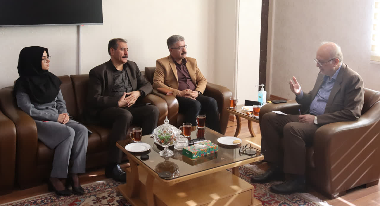 بیمه روستایی و عشایری ظرفیتی مناسب برای فعالان فرش در کردستان است