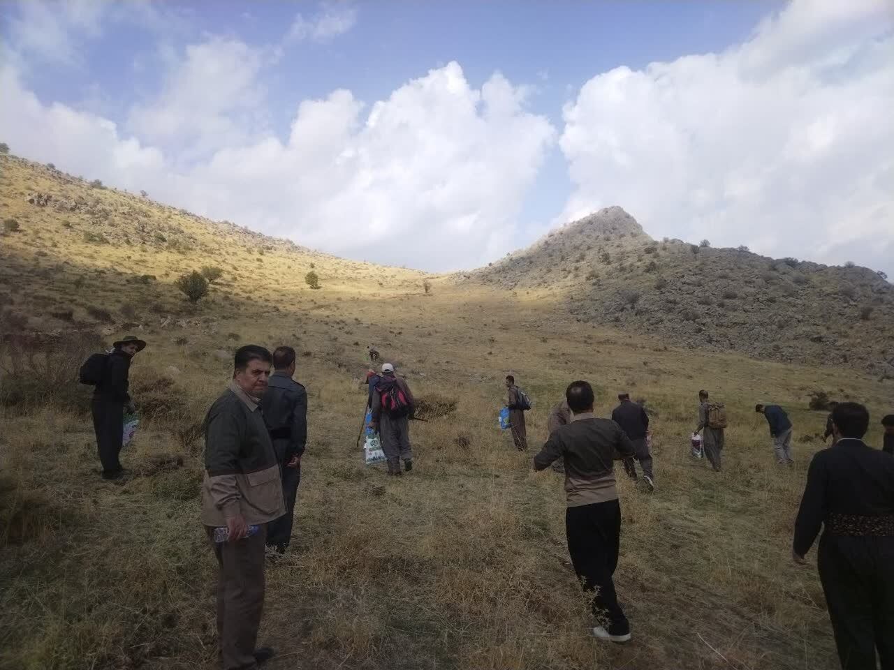 عملیات بذرکاری "جاشیر" در ۱۰۰ هکتار از مراتع سروآباد آغاز شد